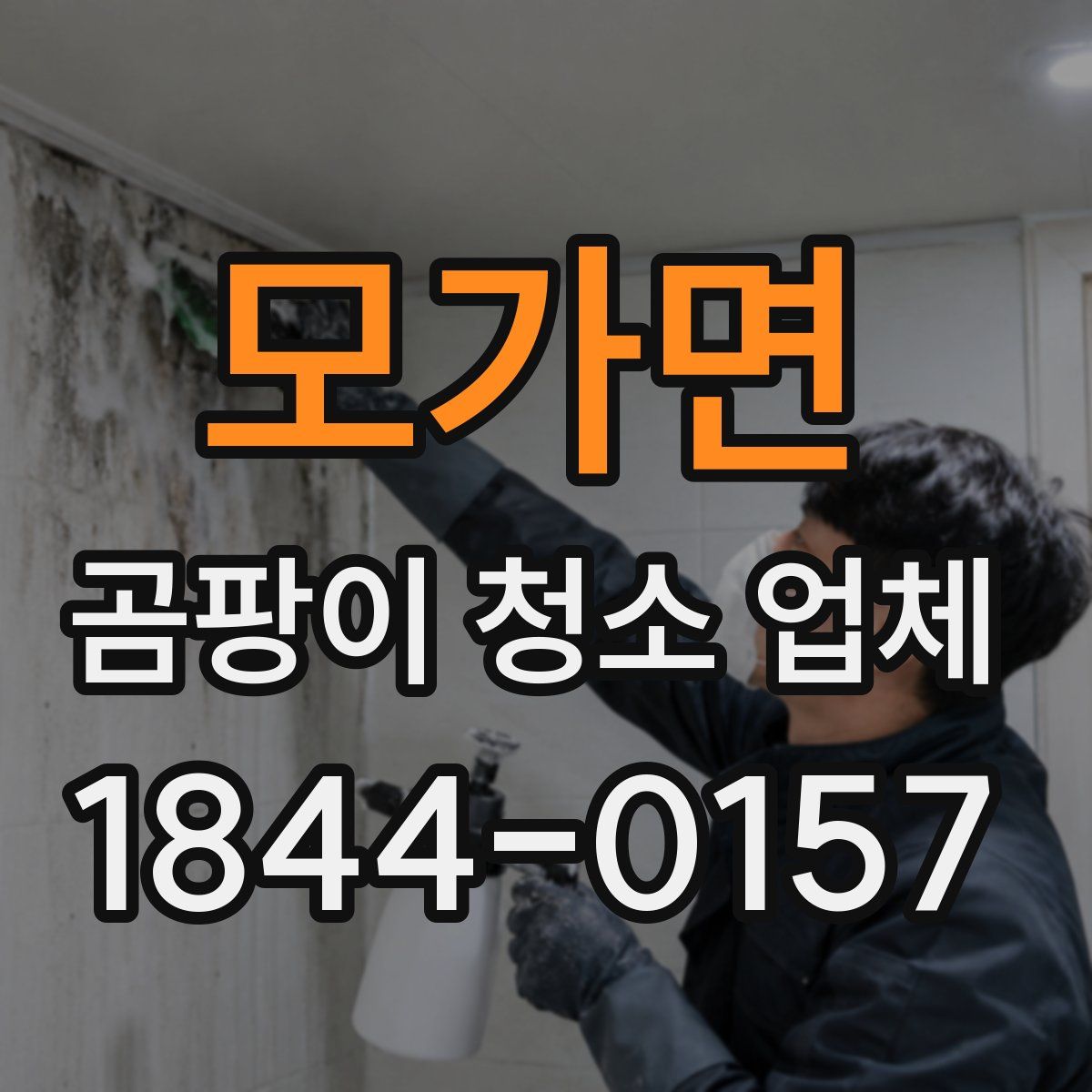 모가면 곰팡이 청소 업체
