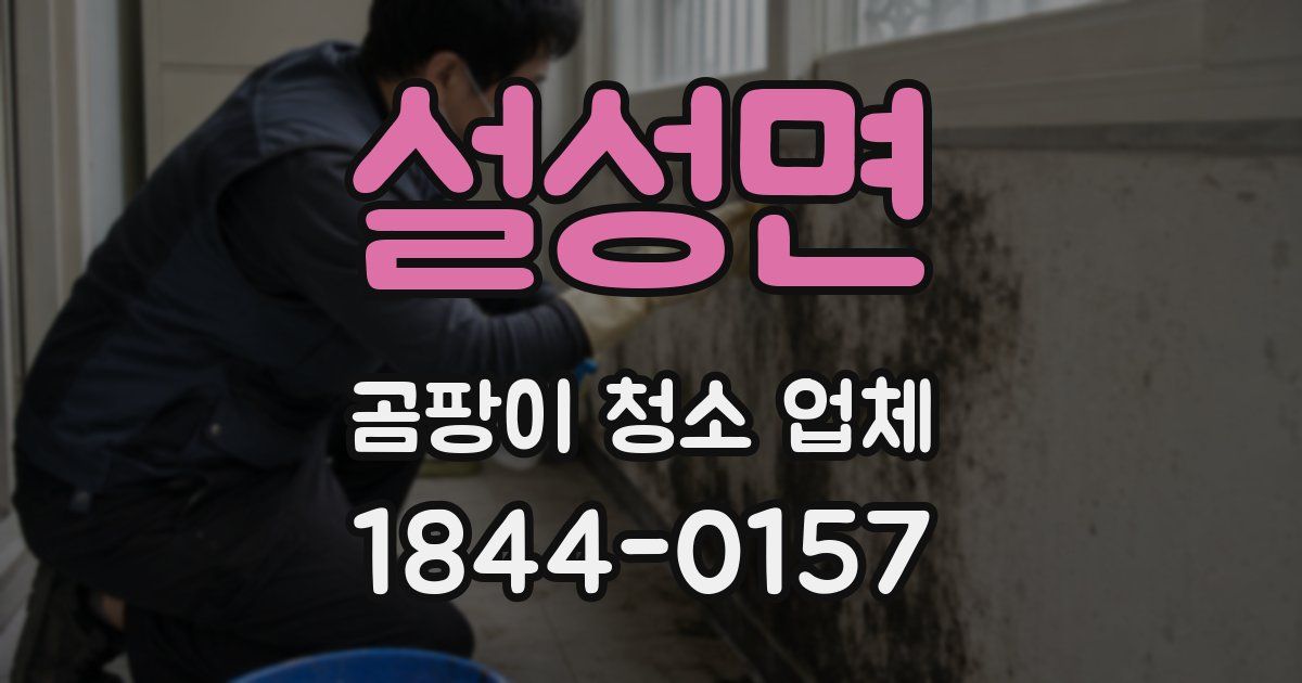 설성면 곰팡이 청소 업체