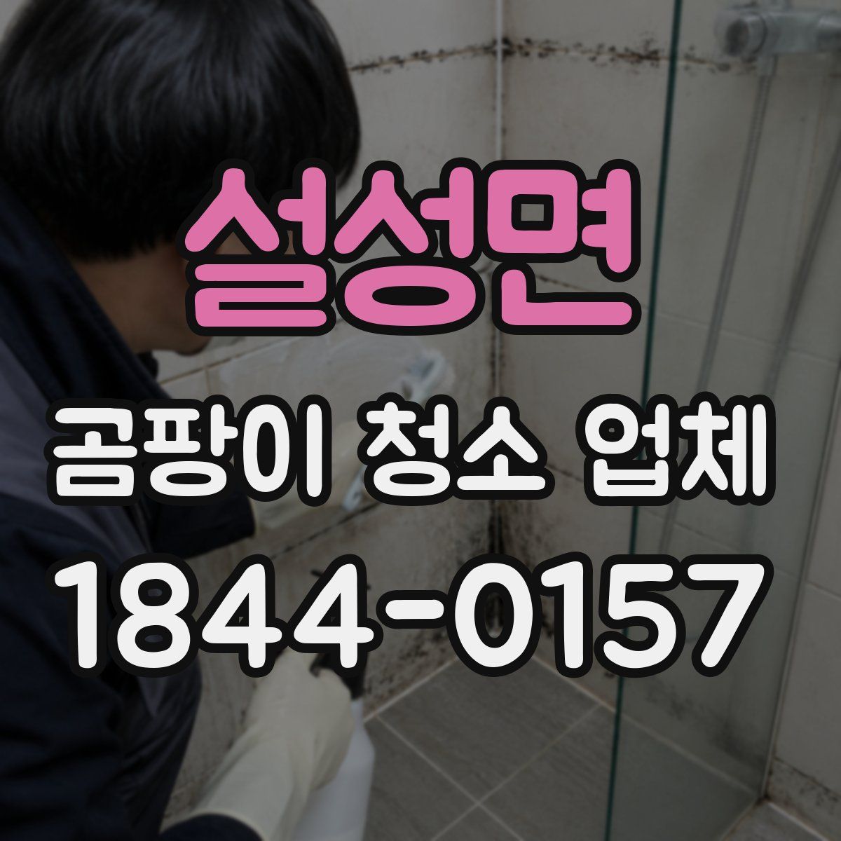 설성면 곰팡이 청소 업체