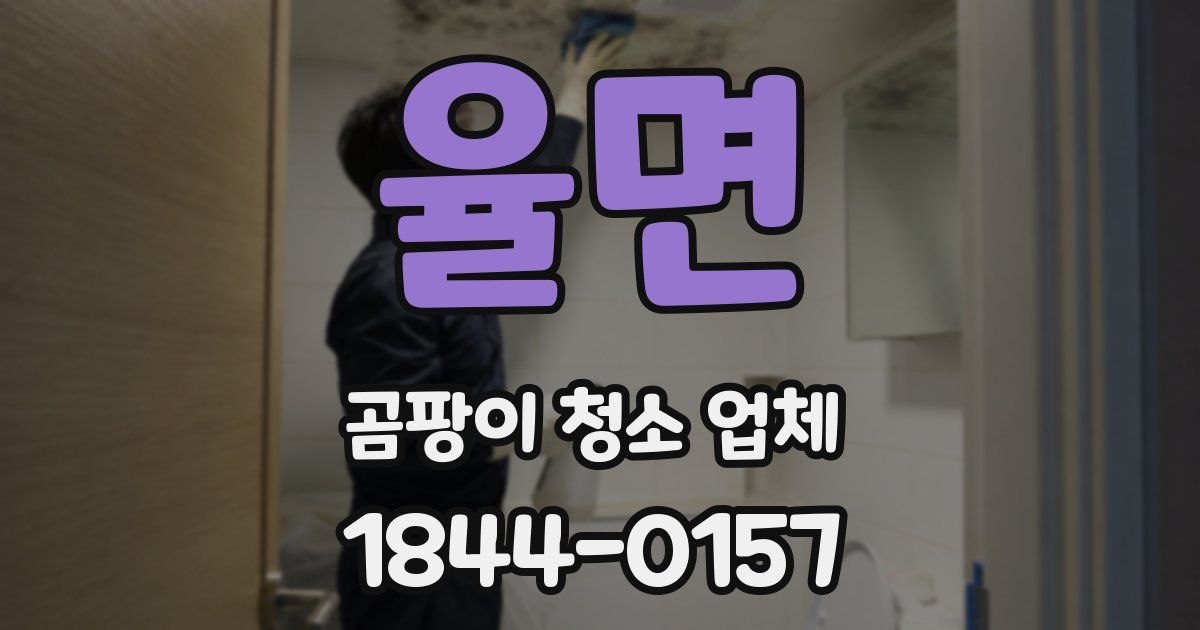 율면 곰팡이 청소 업체