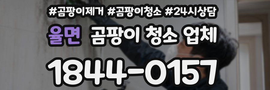 율면 곰팡이 청소 업체