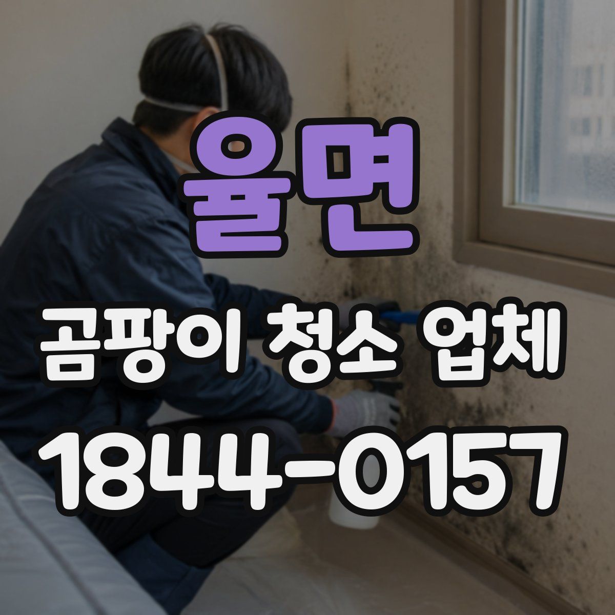 율면 곰팡이 청소 업체