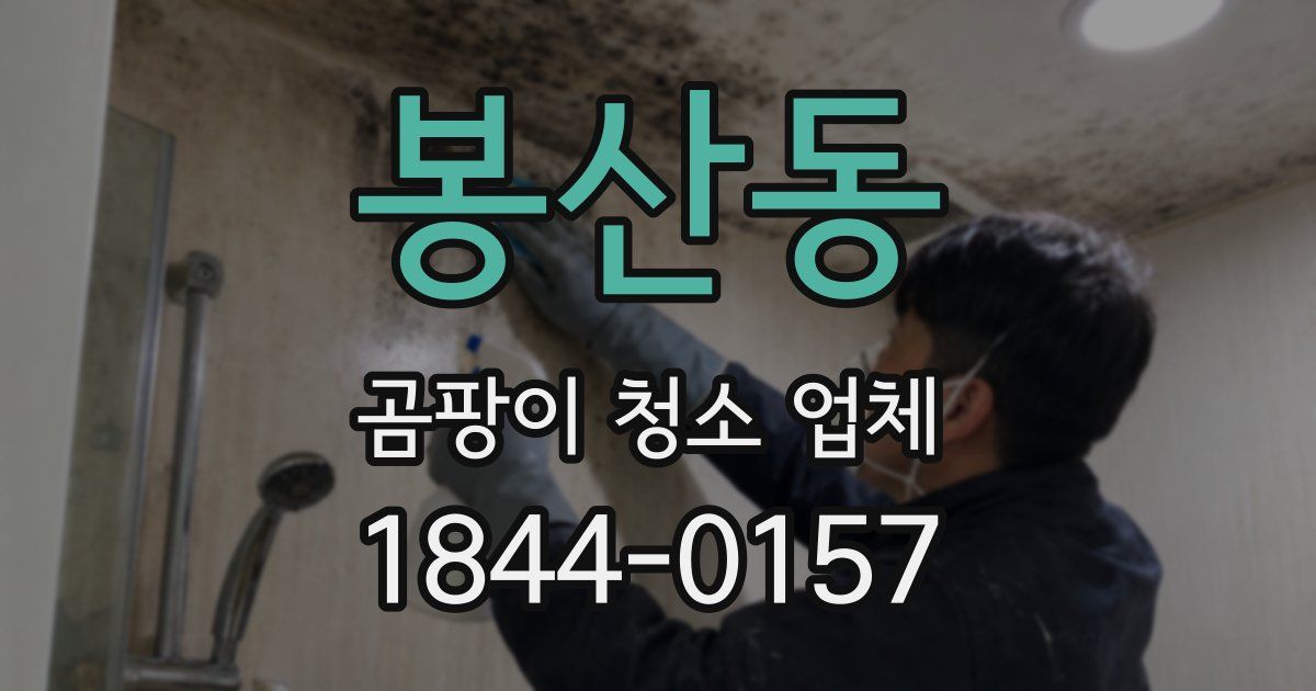 봉산동 곰팡이 청소 업체