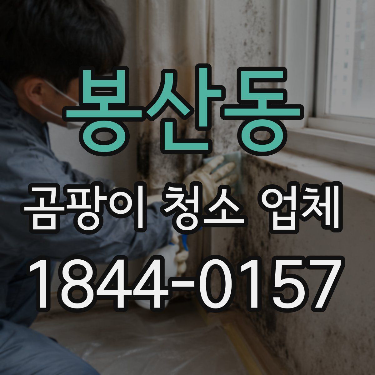봉산동 곰팡이 청소 업체