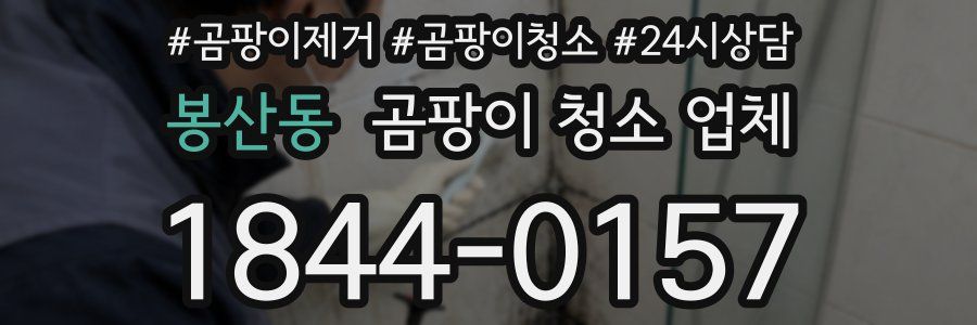 봉산동 곰팡이 청소 업체