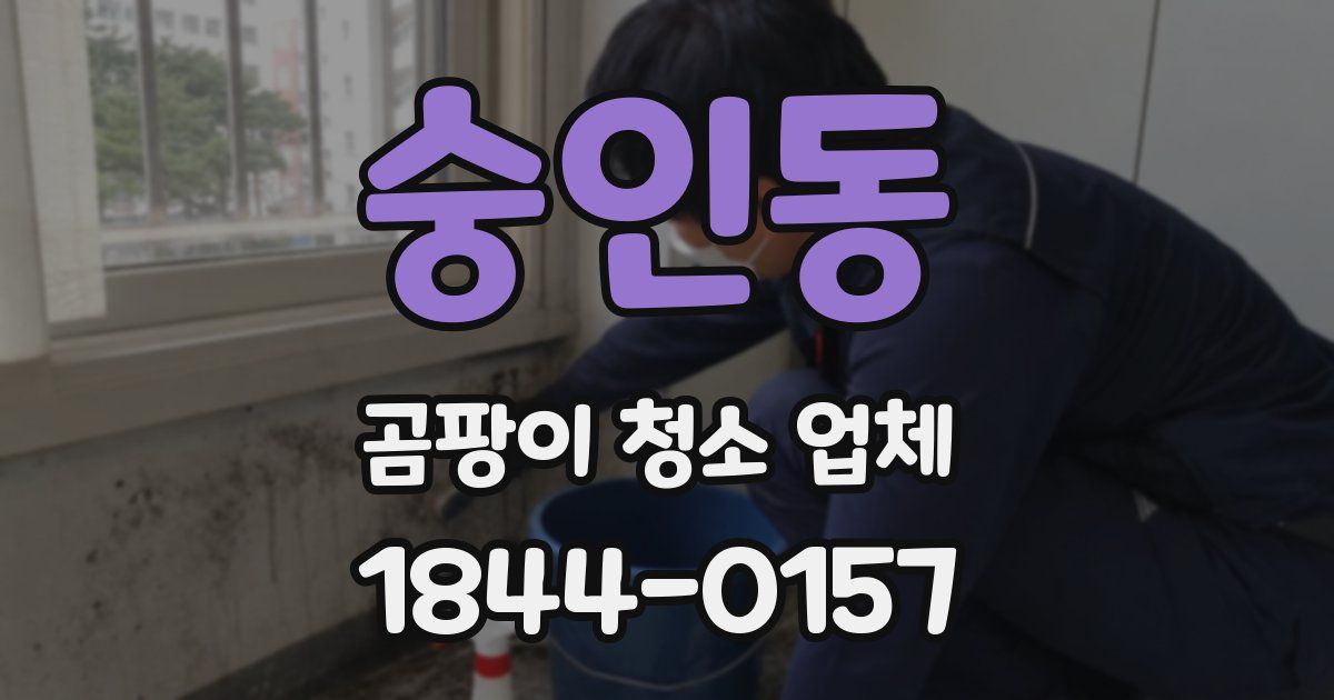 숭인동 곰팡이 청소 업체