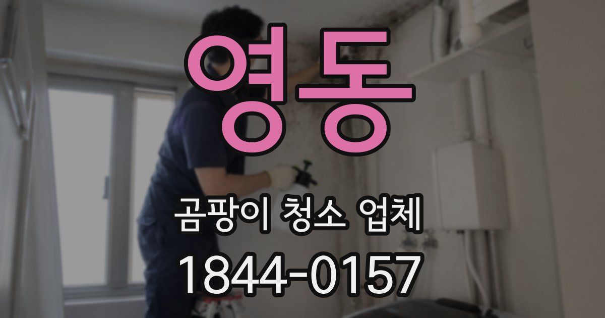 영동 곰팡이 청소 업체