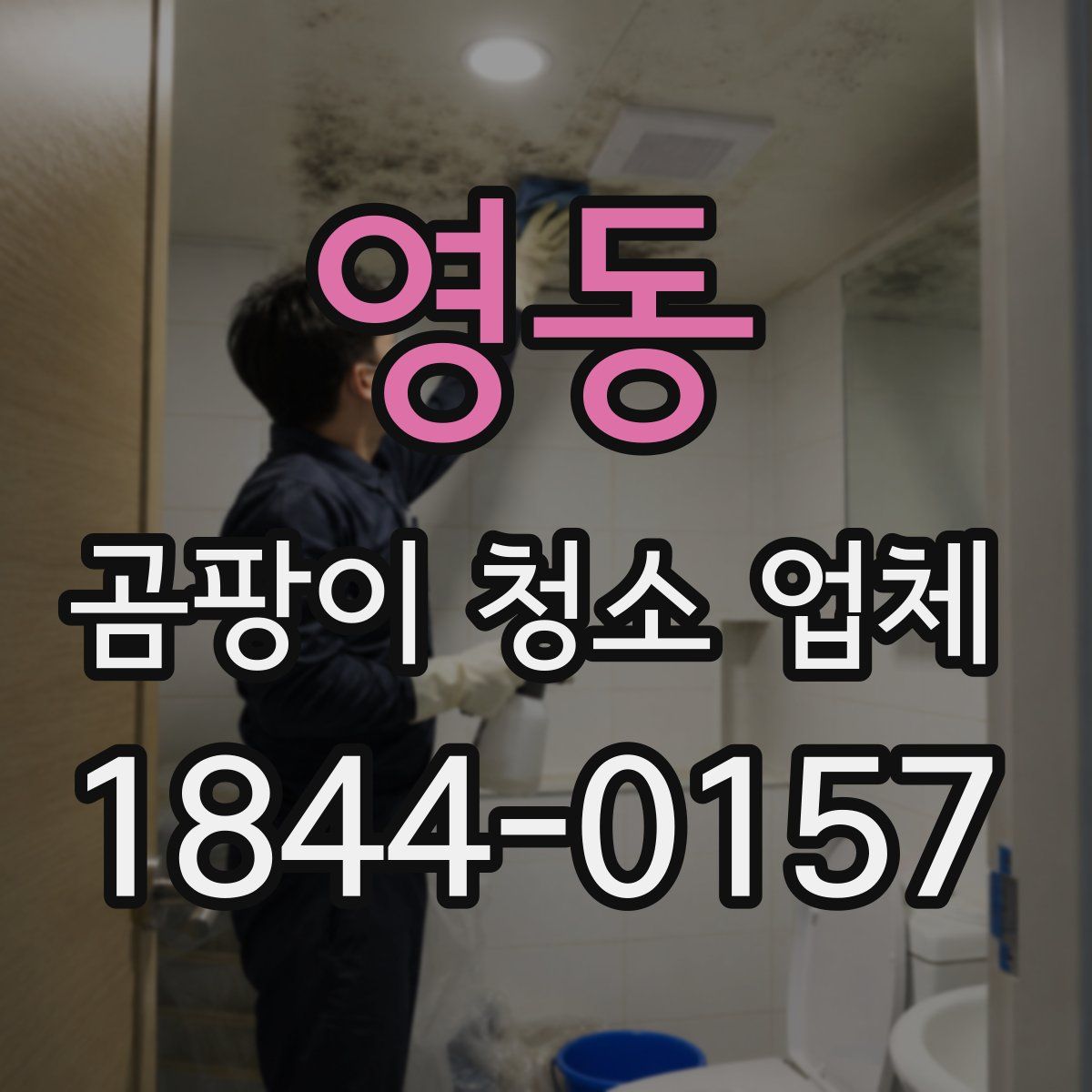 영동 곰팡이 청소 업체