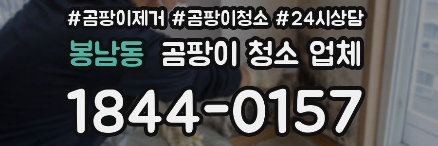 봉남동 곰팡이 청소 업체
