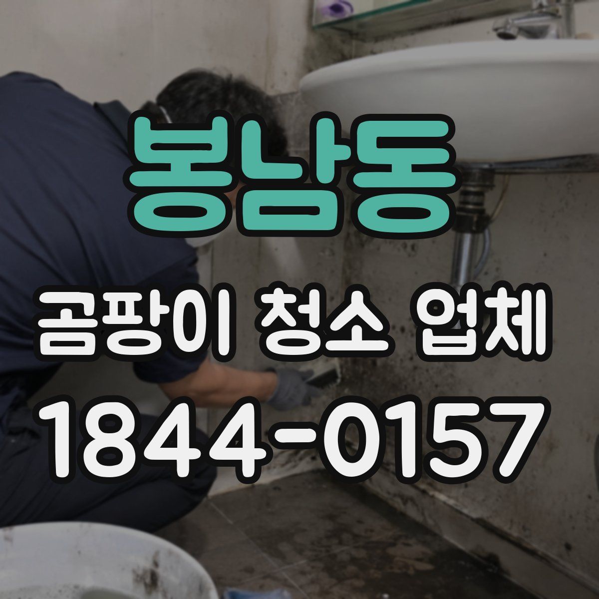 봉남동 곰팡이 청소 업체