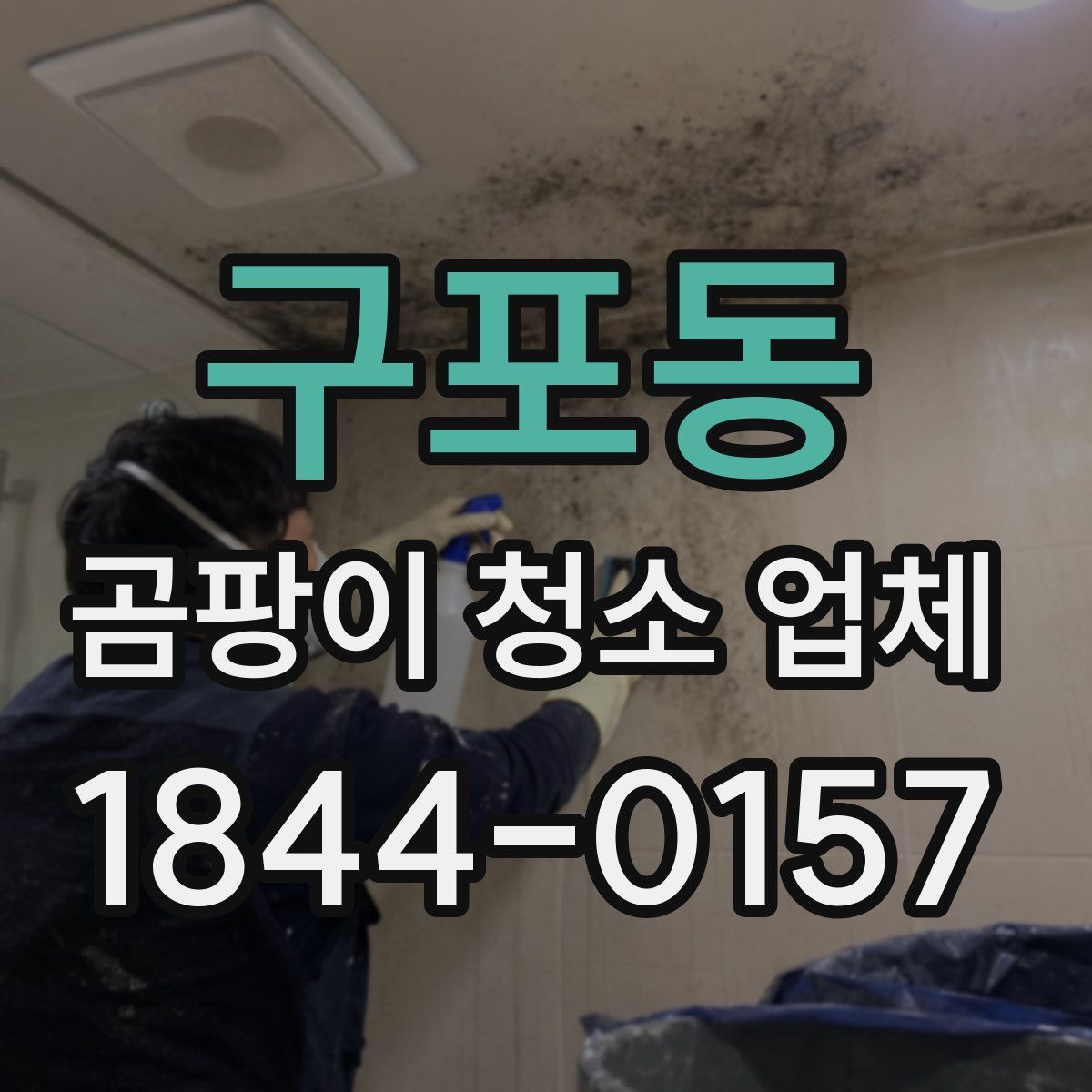 구포동 곰팡이 청소 업체