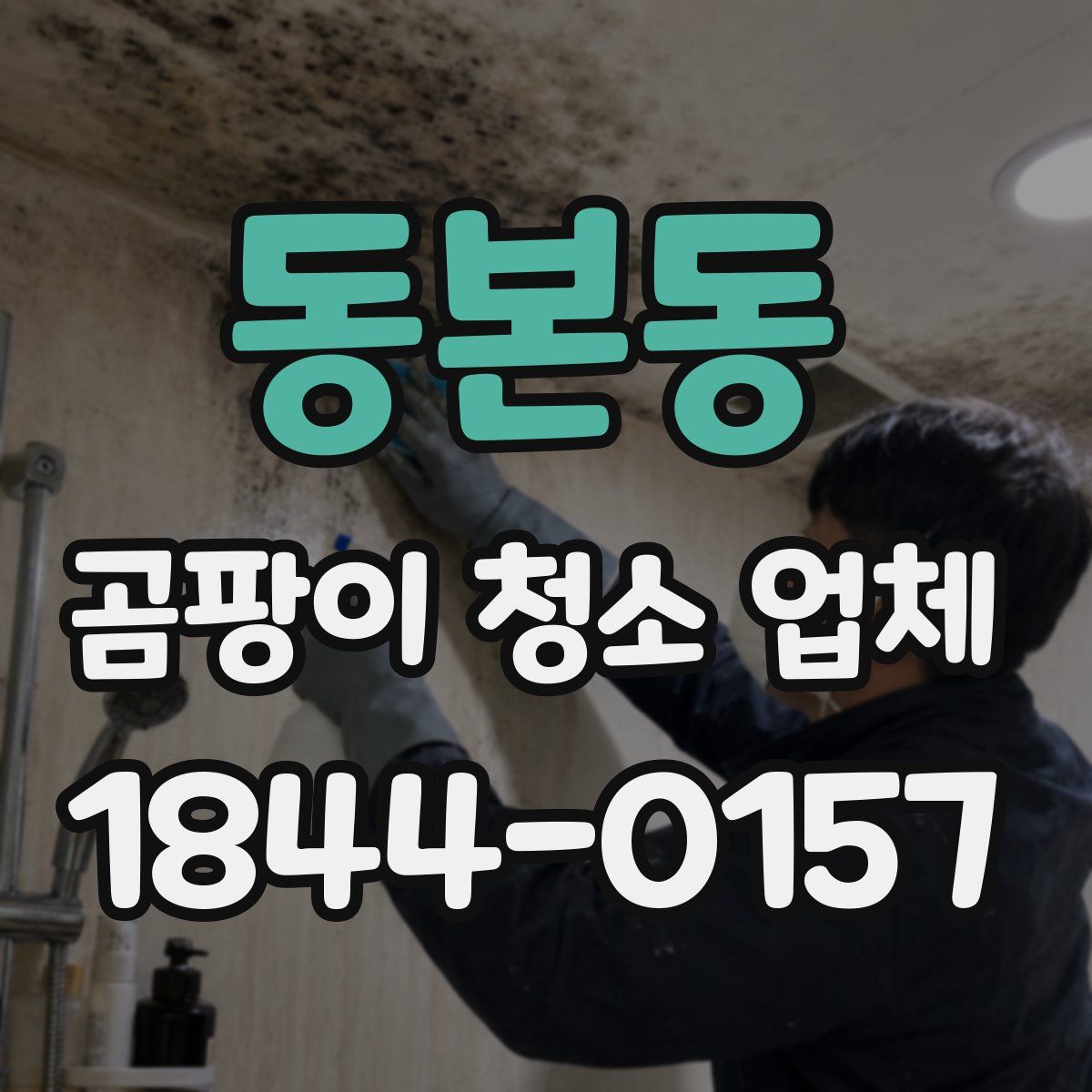 동본동 곰팡이 청소 업체