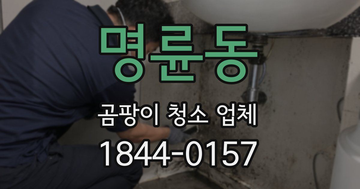 명륜동 곰팡이 청소 업체
