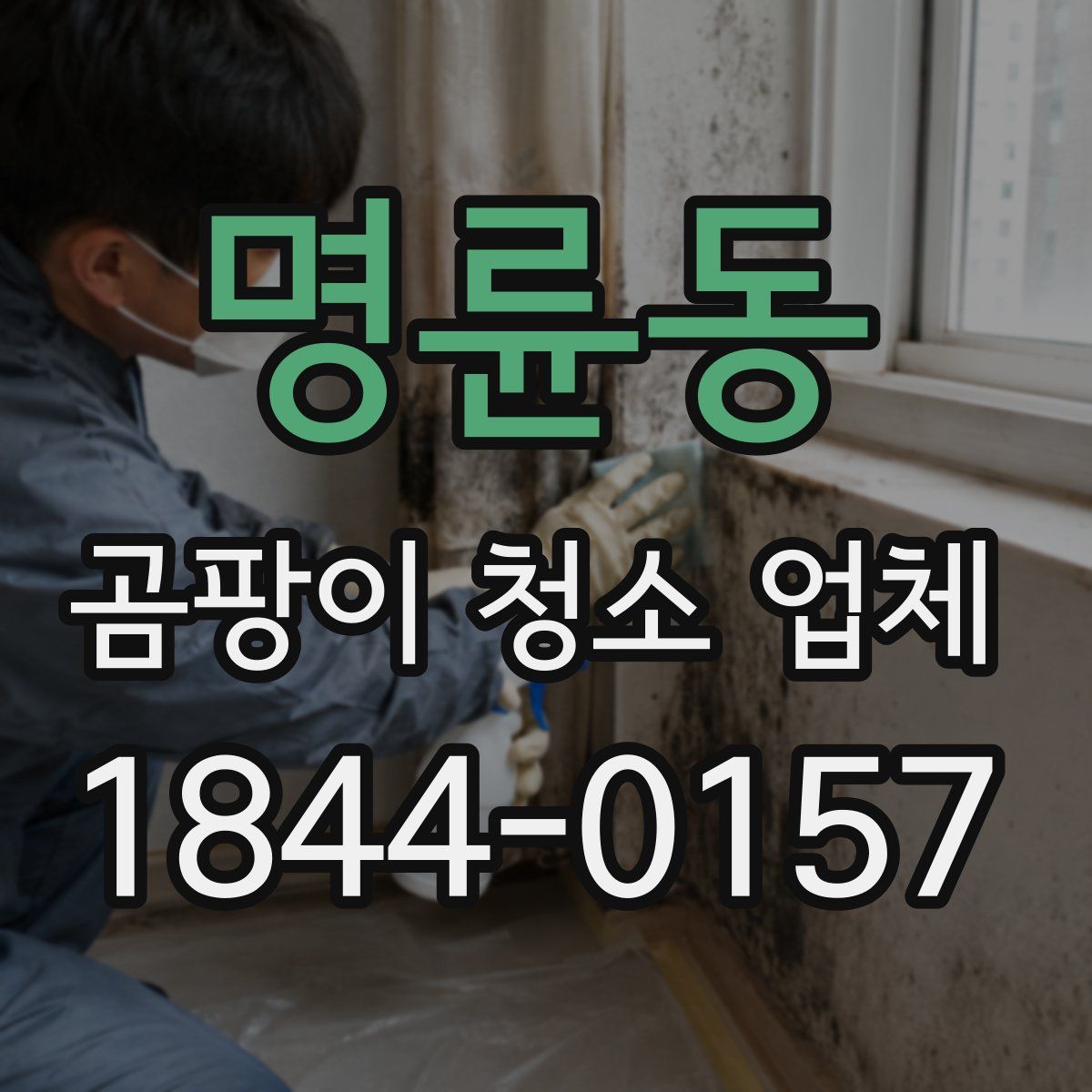 명륜동 곰팡이 청소 업체