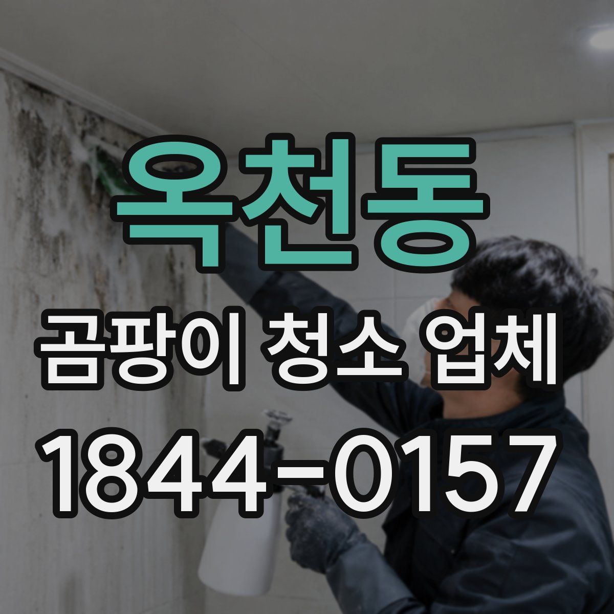 옥천동 곰팡이 청소 업체
