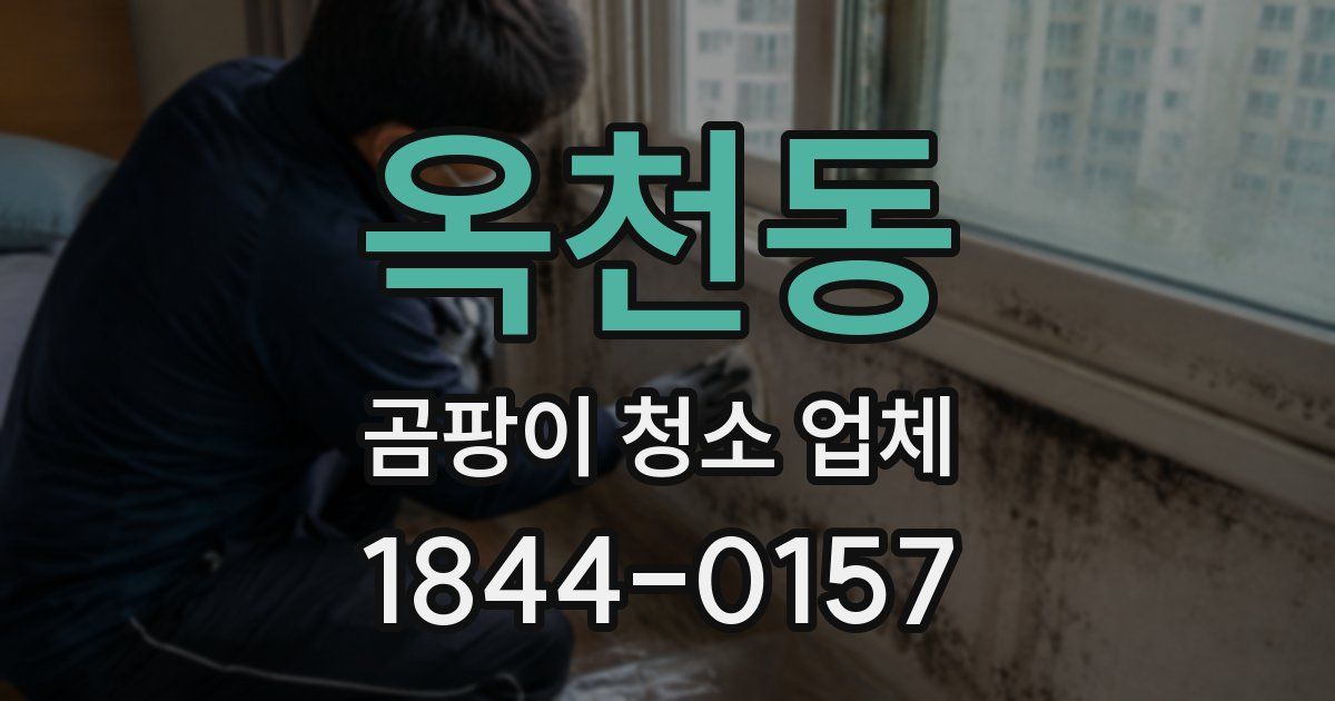 옥천동 곰팡이 청소 업체