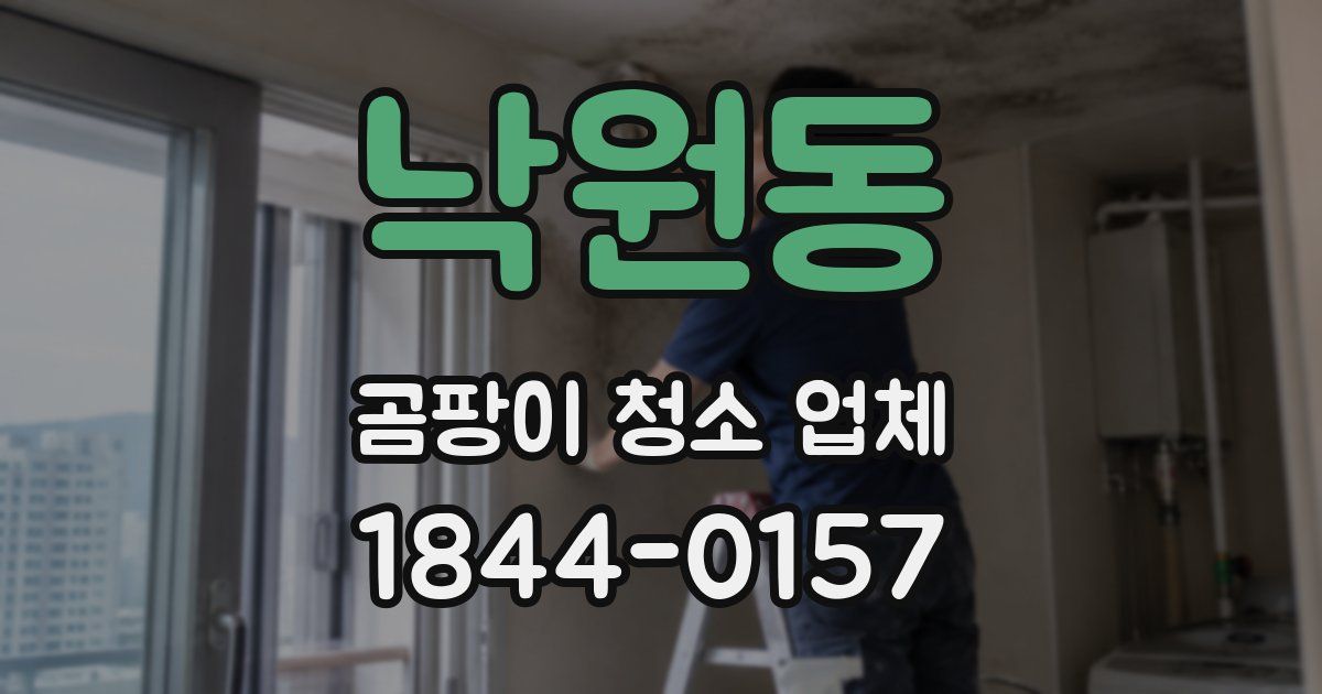 낙원동 곰팡이 청소 업체