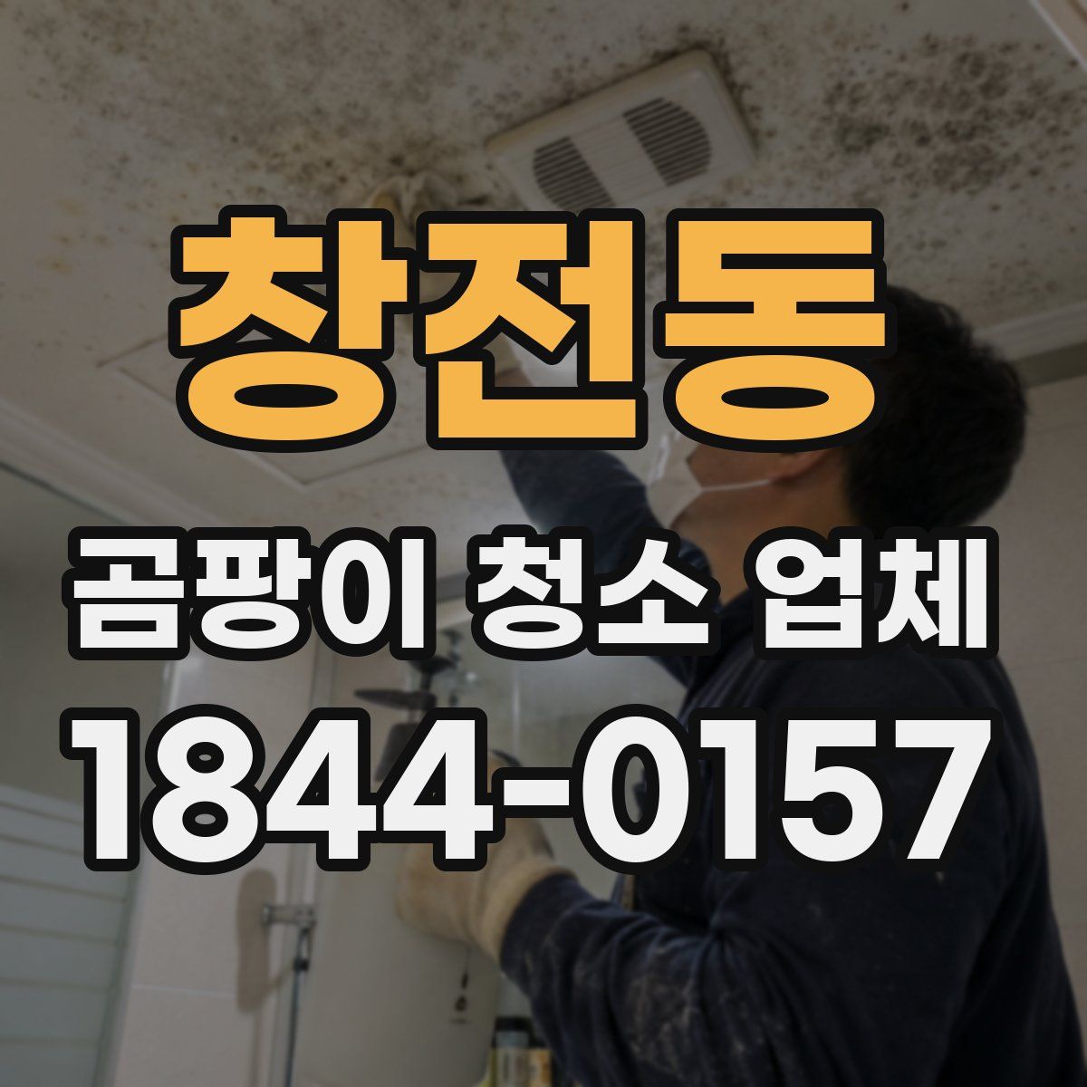 창전동 곰팡이 청소 업체