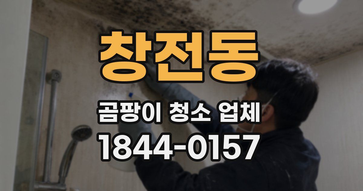 창전동 곰팡이 청소 업체