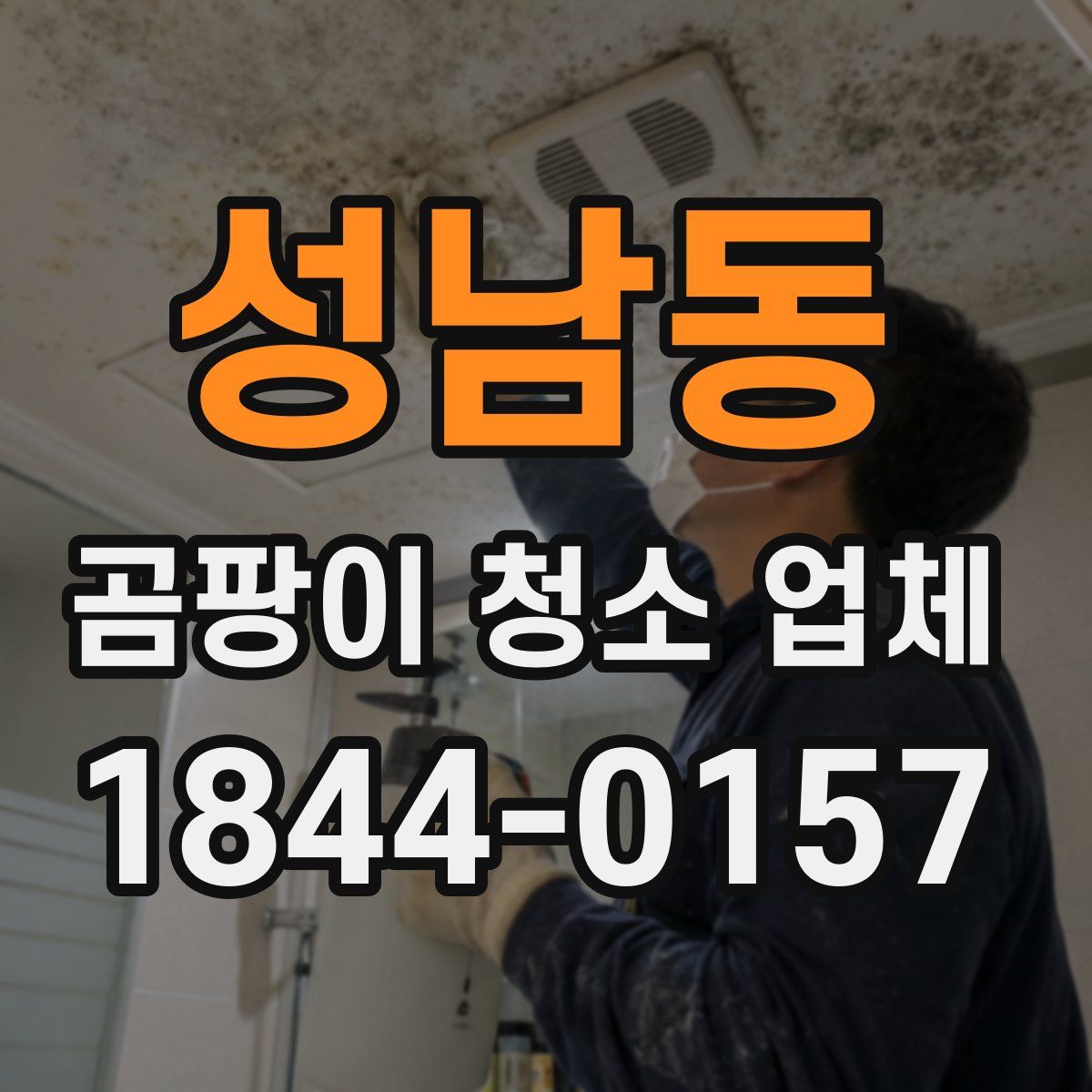 성남동 곰팡이 청소 업체