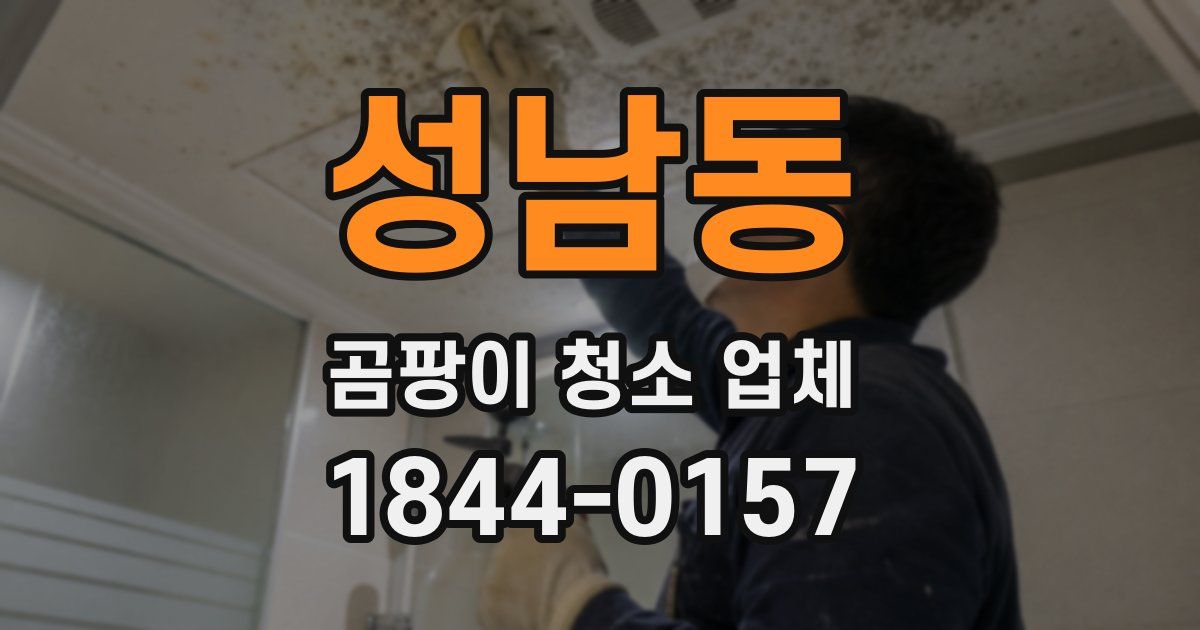 성남동 곰팡이 청소 업체