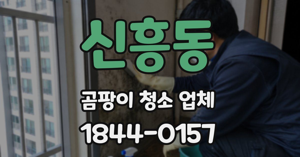신흥동 곰팡이 청소 업체