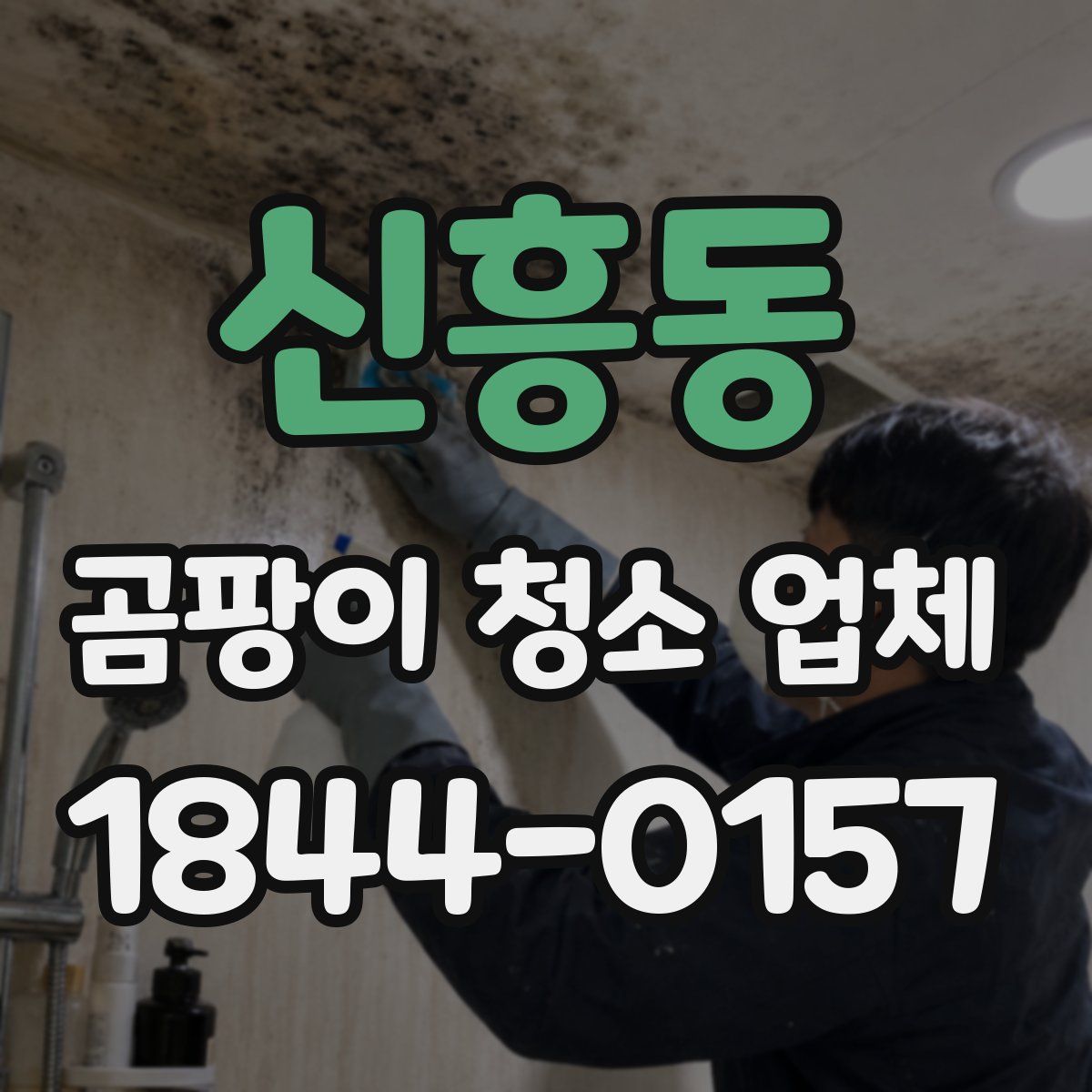 신흥동 곰팡이 청소 업체