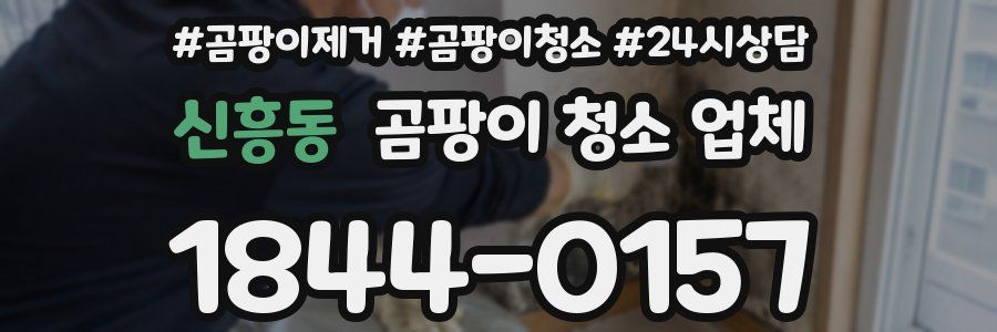 신흥동 곰팡이 청소 업체