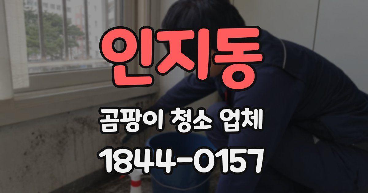 인지동 곰팡이 청소 업체
