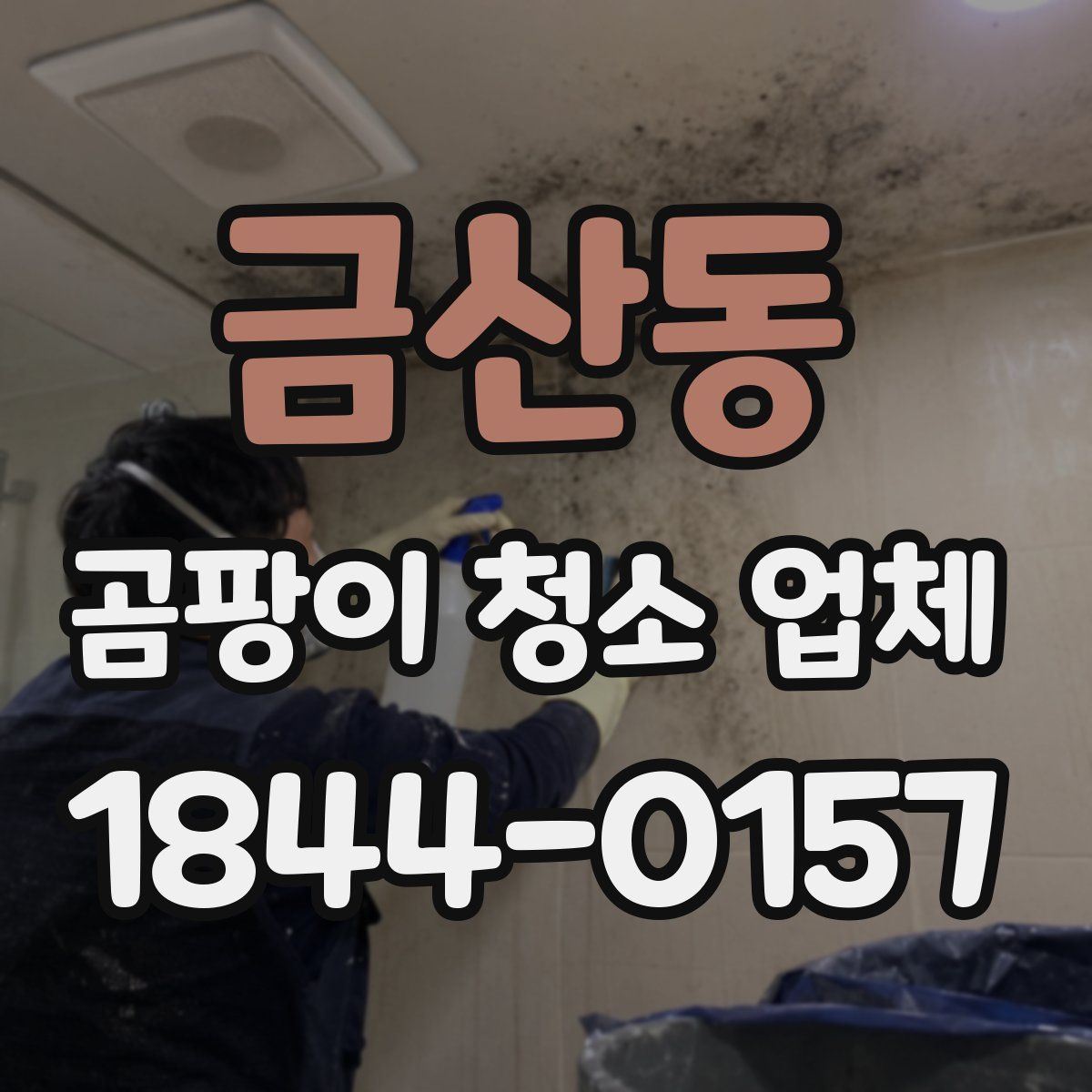 금산동 곰팡이 청소 업체