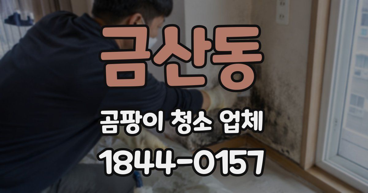 금산동 곰팡이 청소 업체