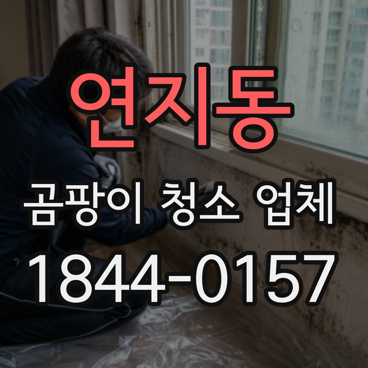 연지동 곰팡이 청소 업체