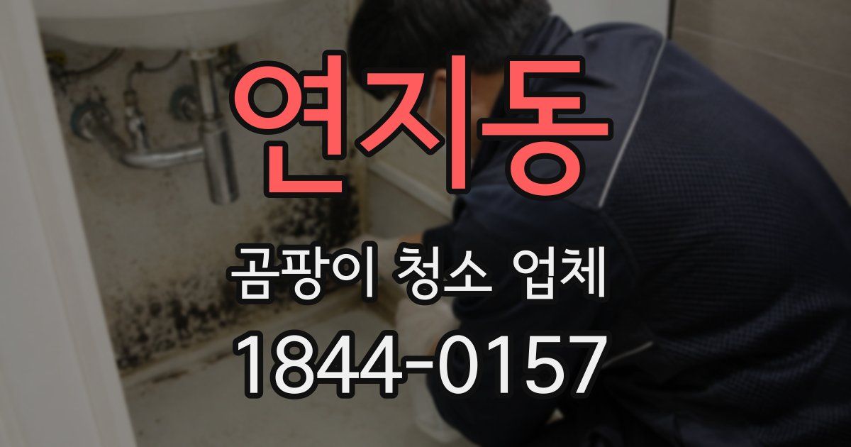 연지동 곰팡이 청소 업체