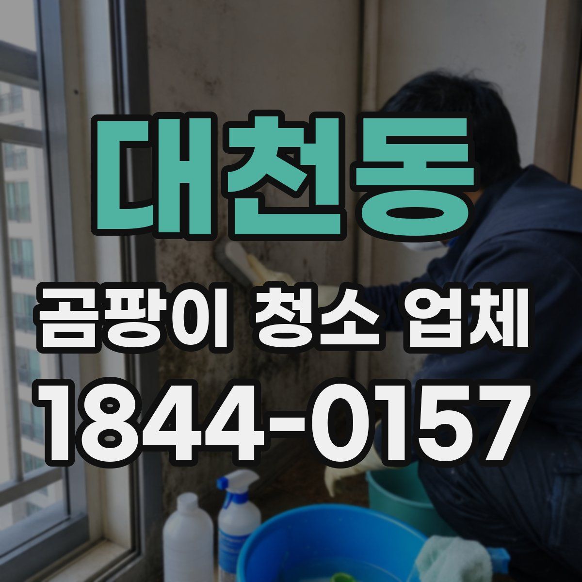 대천동 곰팡이 청소 업체