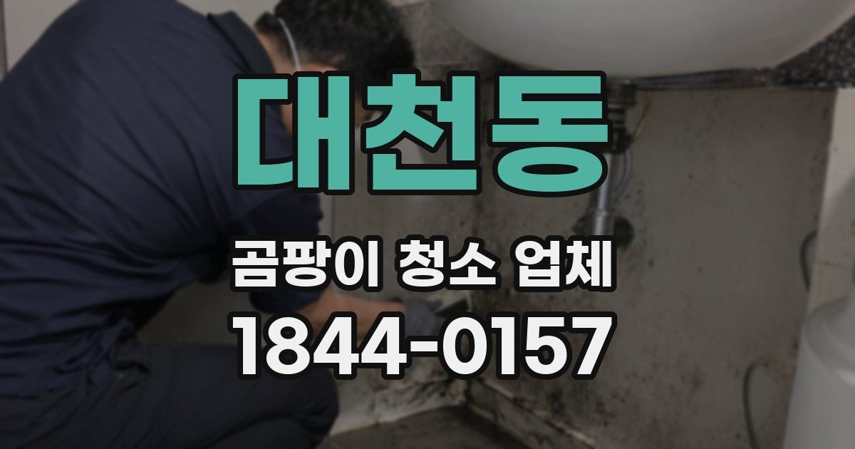 대천동 곰팡이 청소 업체