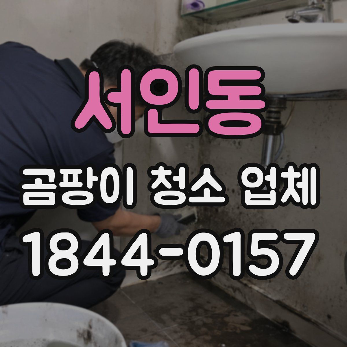 서인동 곰팡이 청소 업체