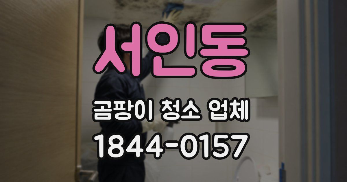 서인동 곰팡이 청소 업체