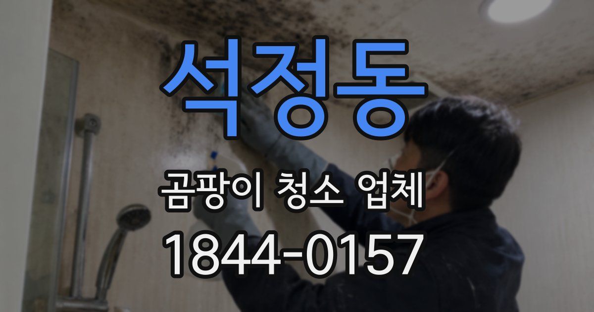 석정동 곰팡이 청소 업체