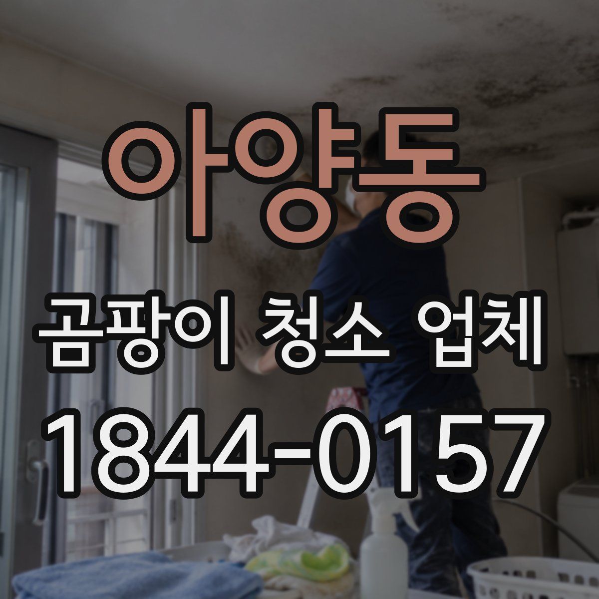 아양동 곰팡이 청소 업체