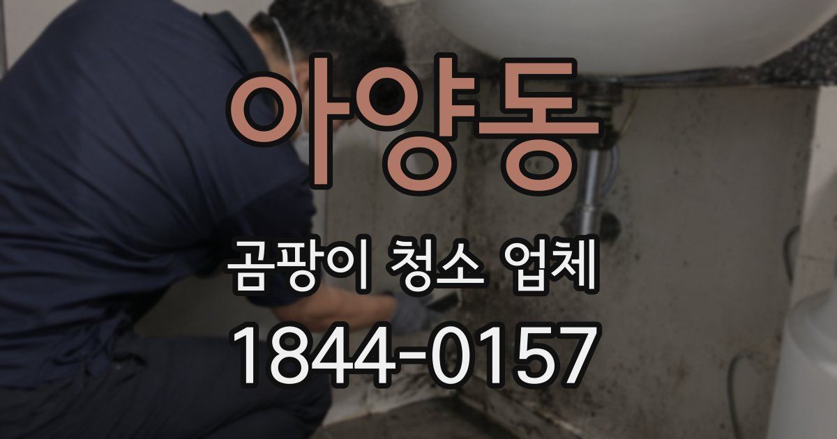 아양동 곰팡이 청소 업체