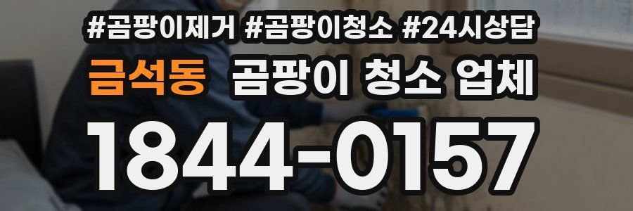 금석동 곰팡이 청소 업체