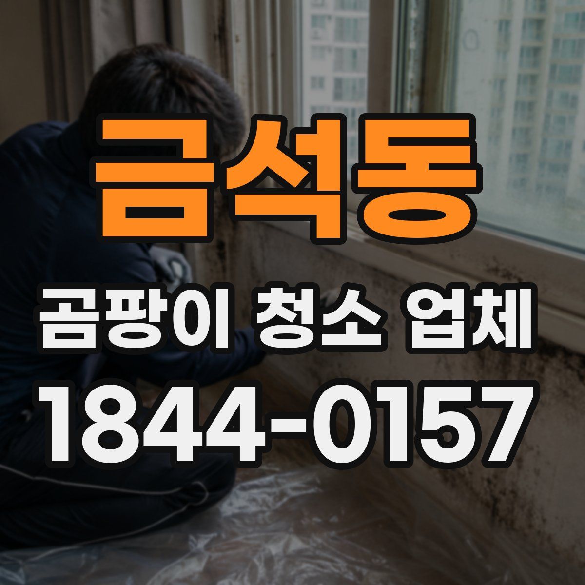 금석동 곰팡이 청소 업체