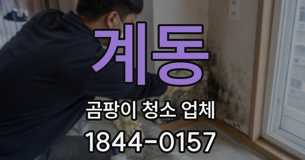 계동 곰팡이 청소 업체
