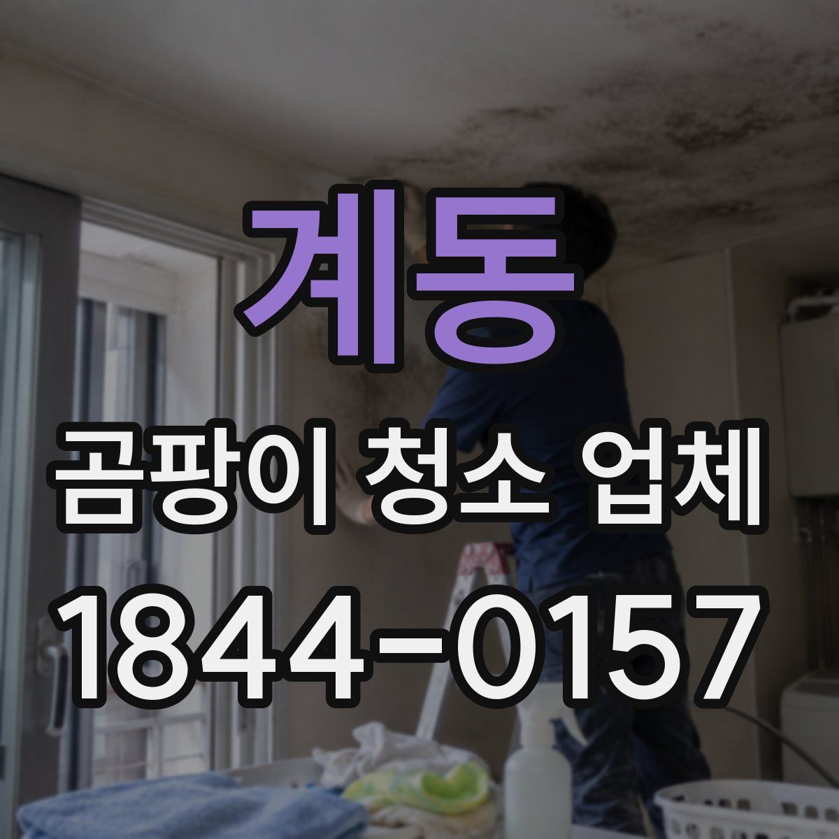 계동 곰팡이 청소 업체