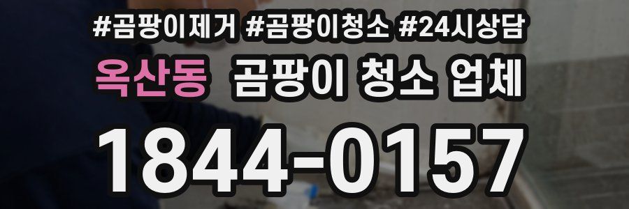 옥산동 곰팡이 청소 업체