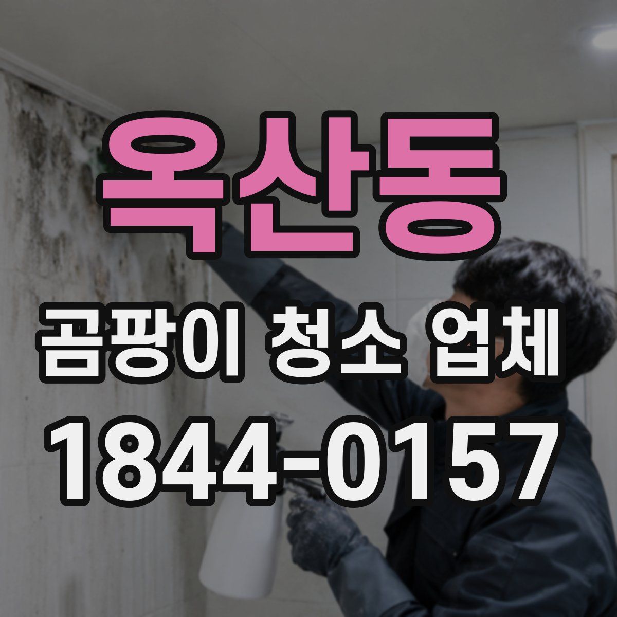 옥산동 곰팡이 청소 업체