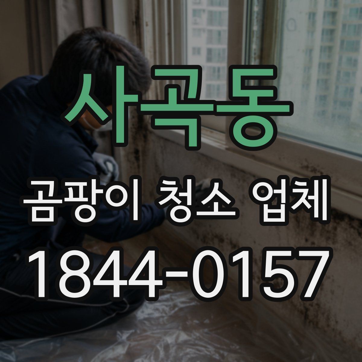사곡동 곰팡이 청소 업체 부분 작업과 전체 작업을 나누는 판단 기준