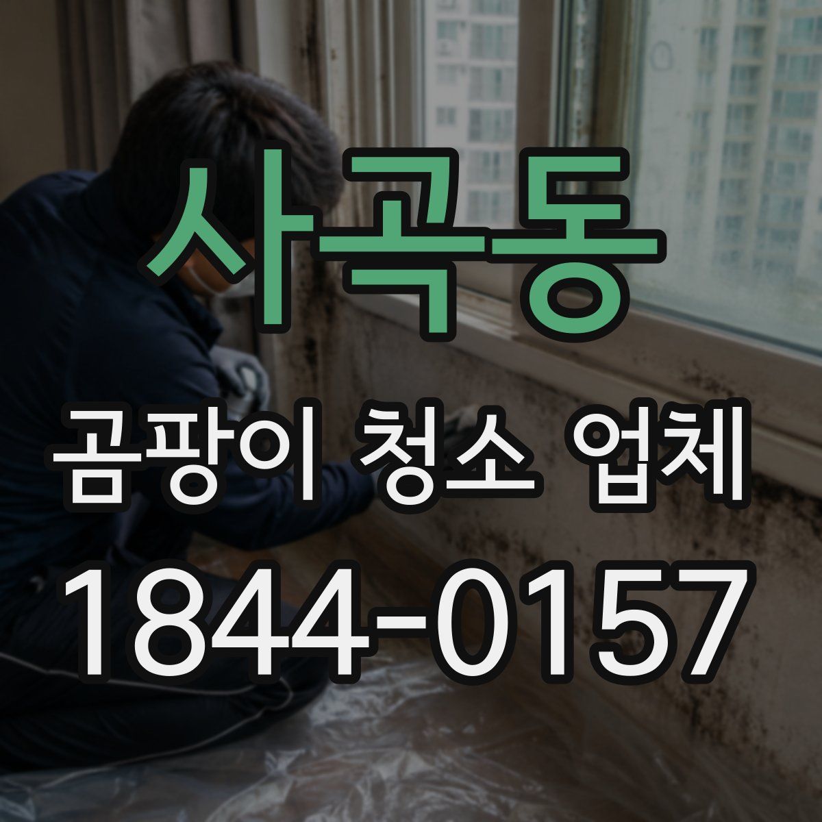사곡동 곰팡이 청소 업체