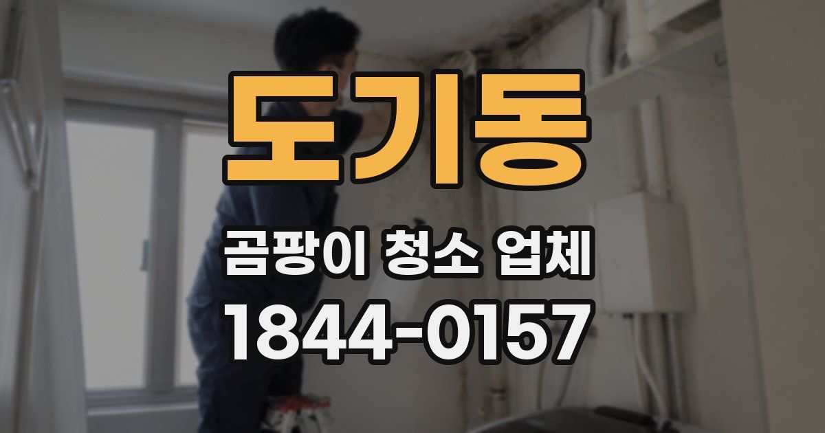 도기동 곰팡이 청소 업체
