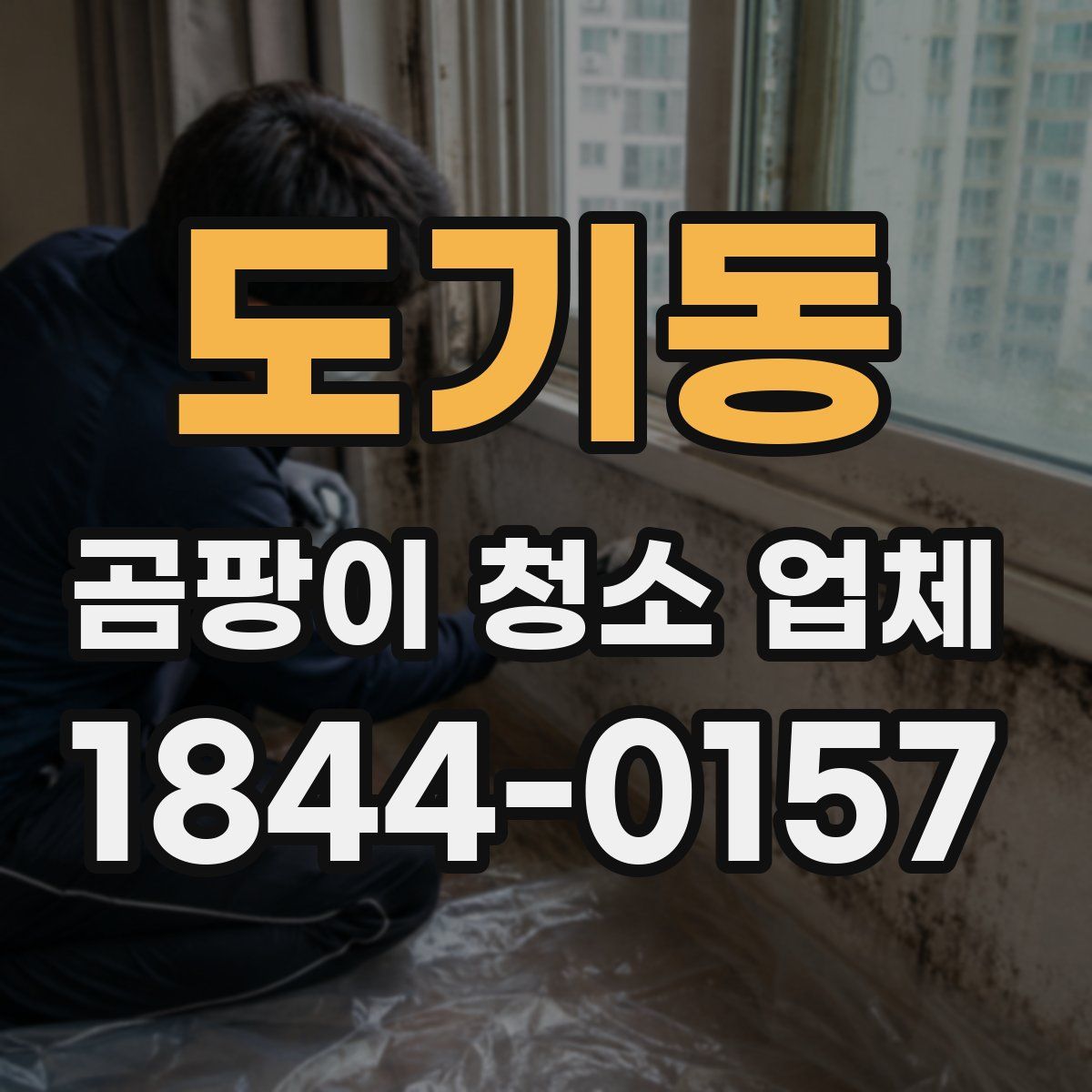 도기동 곰팡이 청소 업체